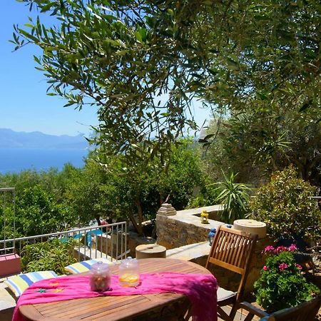 Villa Olga Ayos Nikolaos Dış mekan fotoğraf
